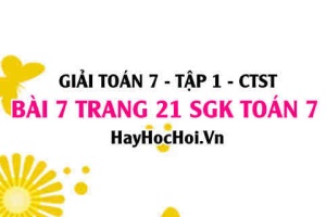 Giải bài 7 trang 21 Toán 7 Tập 1 SGK Chân trời sáng tạo